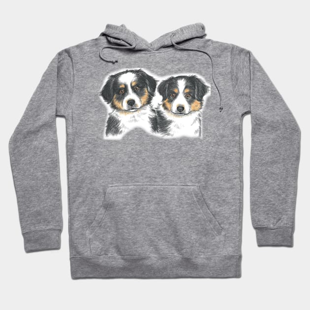 Black Tri Australian Shepherd Puppies Hoodie by Pam069